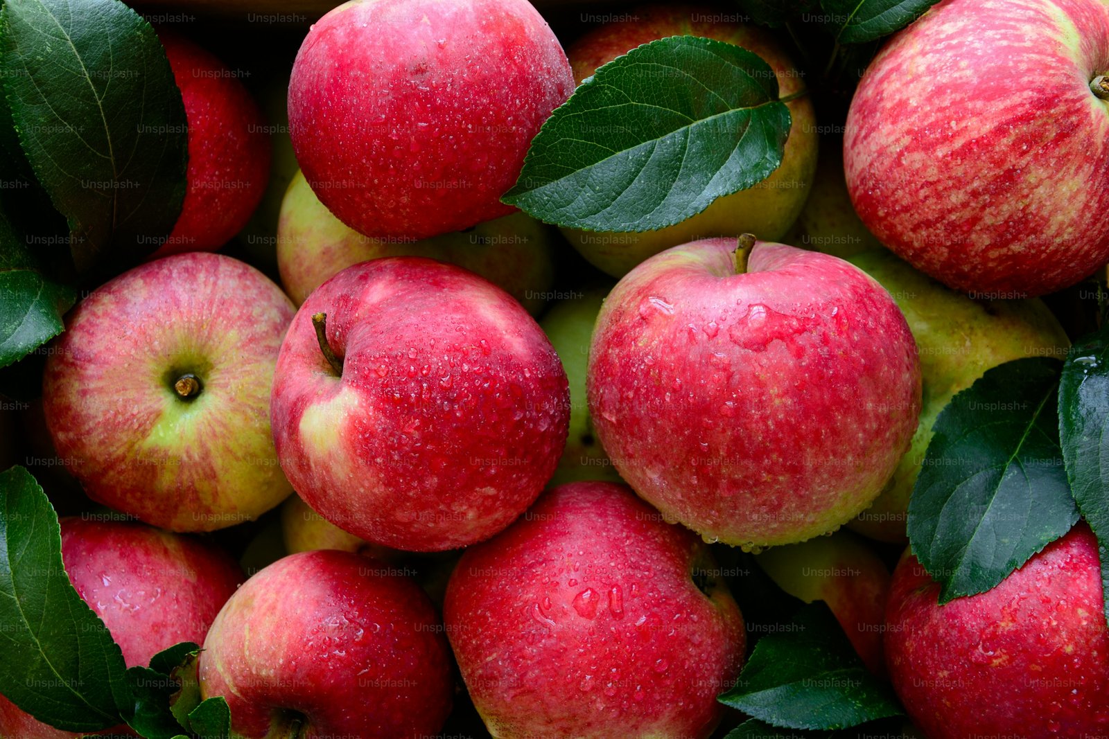 Apple - Image 1