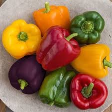 Bell Pepper - Image 1