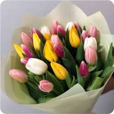 Tulip Bouquet - Image 1