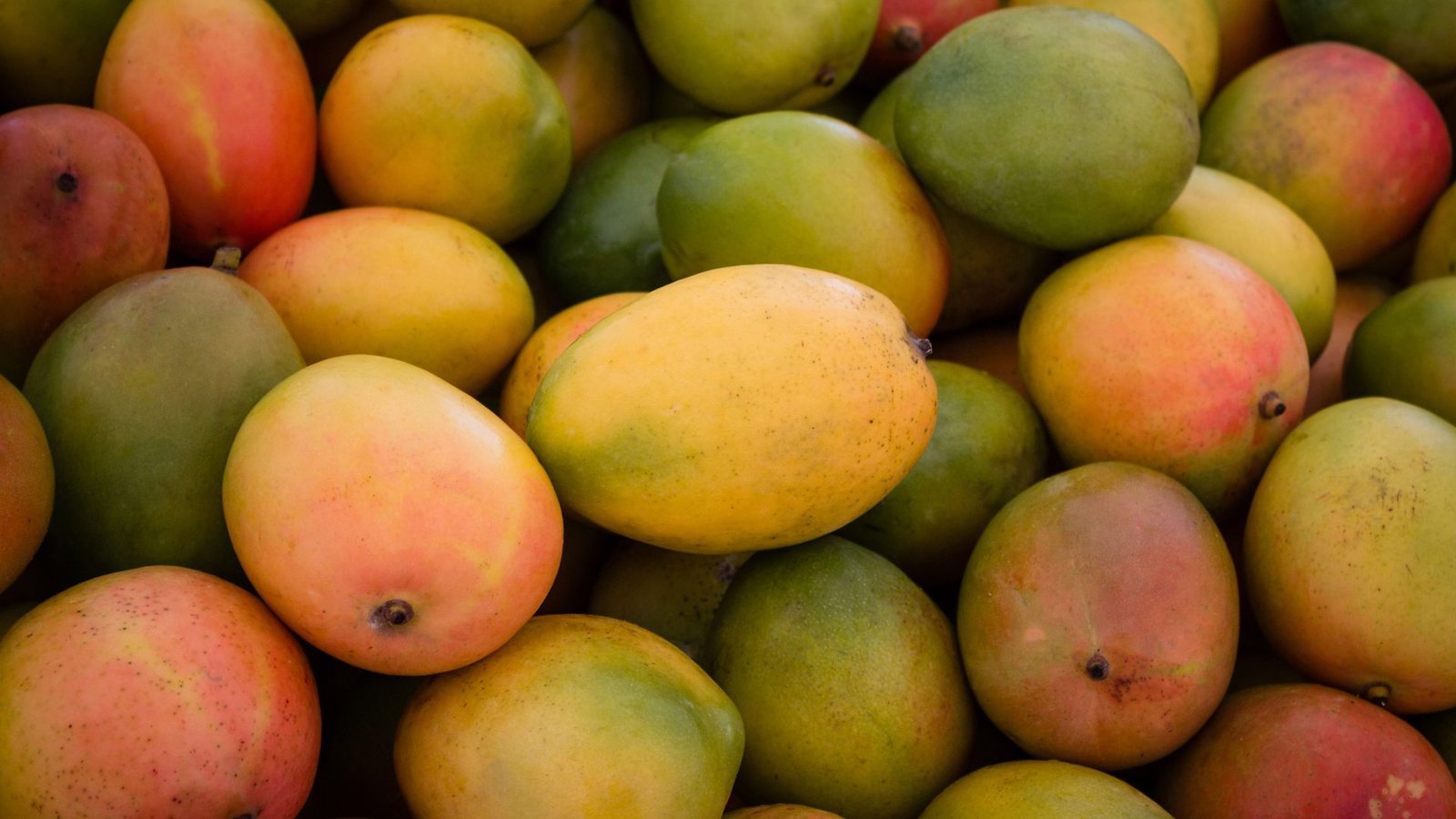 Mango - Image 1
