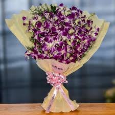 Orchid Plant - Image 1