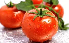 Tomato - Image 1